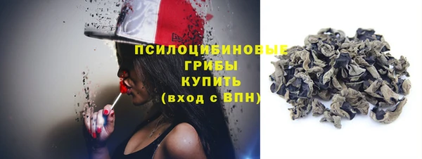ГАЛЛЮЦИНОГЕННЫЕ ГРИБЫ Армянск