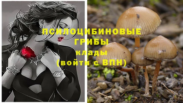 мефедрон Алексеевка