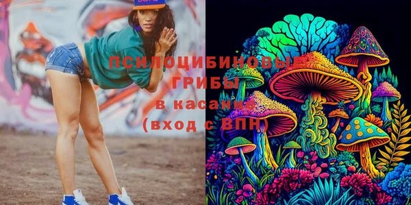 ешки Алзамай