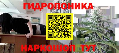 СК Канаш
