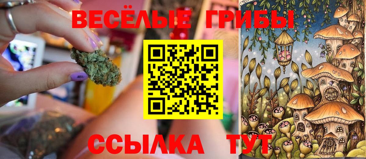 Псилоцибиновые грибы Magic Shrooms Ленинск-Кузнецкий