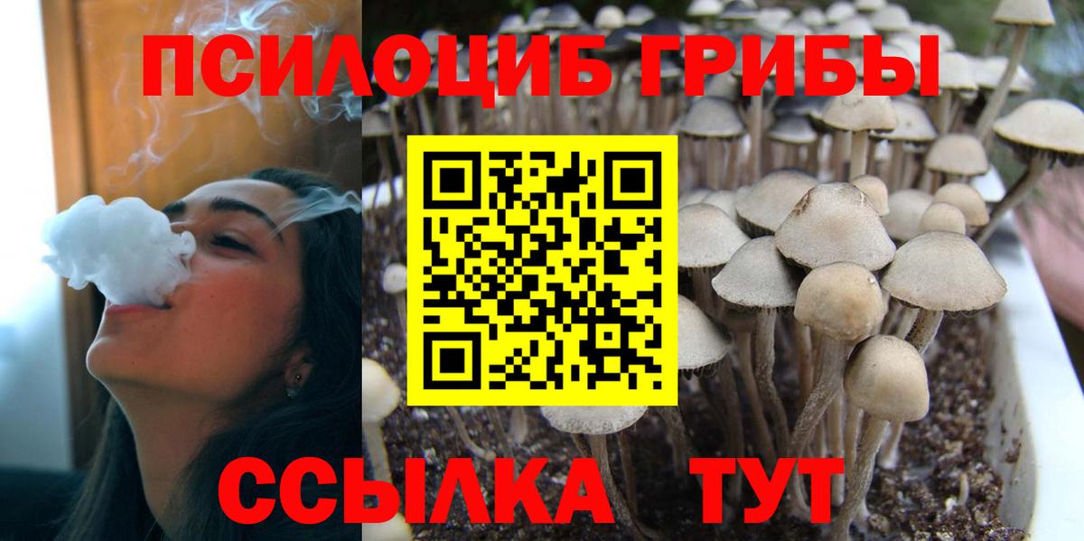 Ленинск-Кузнецкий  Галлюциногенные грибы Cubensis  наркота  Вход с VPN 